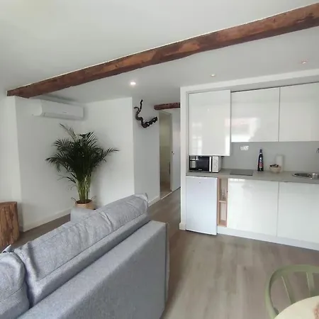 Lepanto 4 - Precioso Y Super Luminoso Duplex Con Vistas Ourense